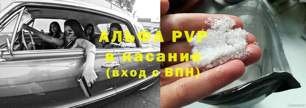 молекула духа Заволжье