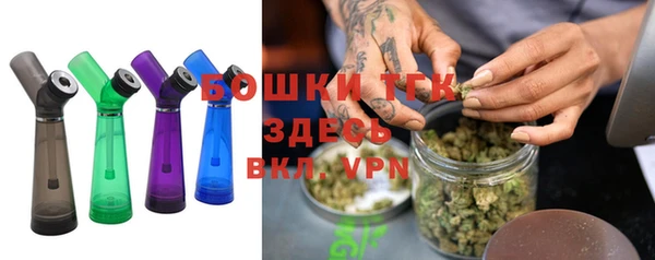 молекула духа Заволжье