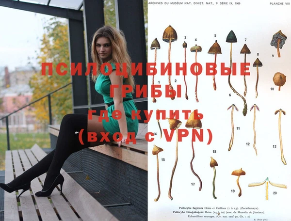 молекула духа Заволжье