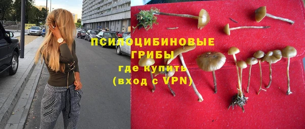молекула духа Заволжье