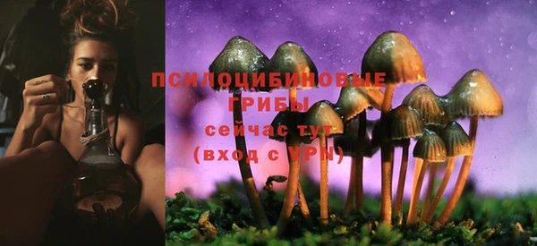 прущая мука Заволжск