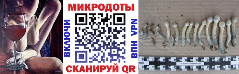 Купить  Торжок  Псилоцибиновые грибы мицелий 